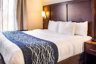 Comfort Inn & Suites Niagara Falls Blvd USA - 6