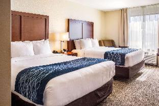 Comfort Inn & Suites Niagara Falls Blvd USA - 2