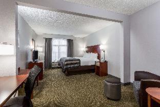 Wingate by Wyndham Chesapeake - Chesapeake - 6