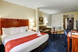 Comfort Suites Outlet Center - 6