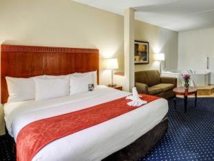 Comfort Suites Outlet Center - 5