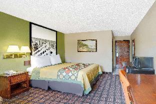 Economy 7 Inn Chesapeake - Portsmouth - Chesapeake - 5