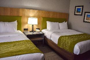 Comfort Inn & Suites Calhoun South - 6