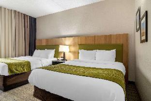 Comfort Inn & Suites Calhoun South - 4