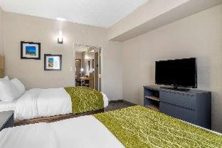 Comfort Inn & Suites Calhoun South - 1