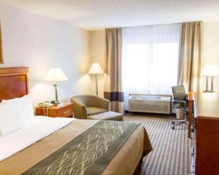 Comfort Inn Grand Island North - Grand Island - 5