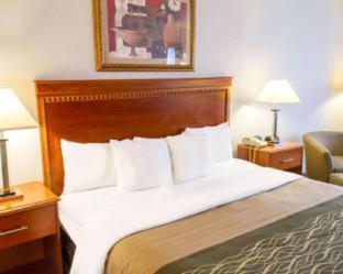 Comfort Inn Grand Island North - Grand Island - 3
