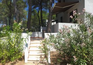 Collins Apartments - Castellaneta Marina - 3