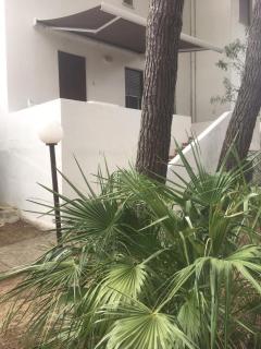 Collins Apartments - Castellaneta Marina - 2