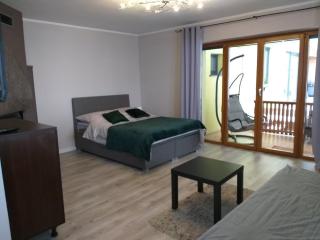 Domek pod świerkami - Kudowa-Zdrój - 8