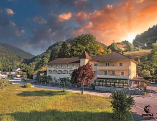 Gasthof - Landhotel Ernst - Untermühl - 9