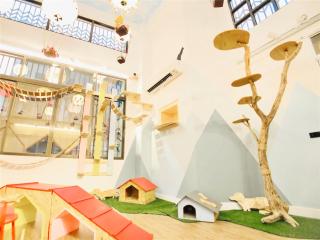 Snail Pets Homestay - Tainan - 7