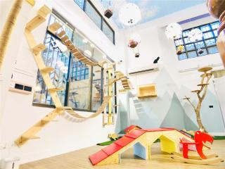 Snail Pets Homestay - Tainan - 5