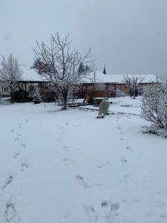 Pensiunea Marmis - Rîu Bărbat - 7