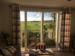 Sunset Retreat Lodge with Hot Tub - Carsethorn - 2