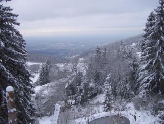 Haus Schauinsland - Sasbachwalden - 2