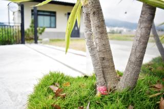 Rural Scenery Villa - Taitung City - 4
