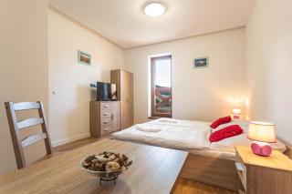 Mountain Apartment Panorama Klinovec - Loučná pod Klínovcem - 6