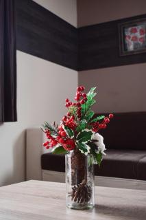 Milmari Friends and Family - Kopaonik - 4