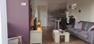 Vakantiebungalow Texel - De Cocksdorp - 1