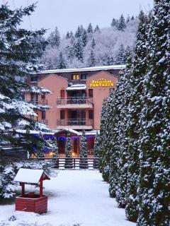 Pension Pantheon - Poiana Brasov - 8