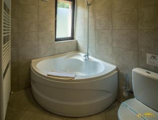 Pension Pantheon - Poiana Brasov - 7
