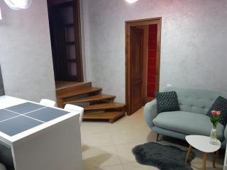 NoMi Central Apartment - Târgu-Mureş - 3
