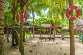 Playa 506 Beachfront Hostel - 1