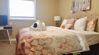3 Beds/ 1 Bath Suite By 2 shopping Centres, Costco, Best Buy - 2
