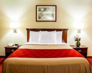 Econo Lodge McAlester - 6
