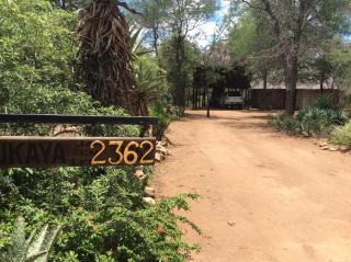 Swartwitpens 2362 - Marloth Park - 0