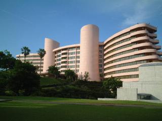 Ibusuki Iwasaki Hotel - Ibusuki - 9