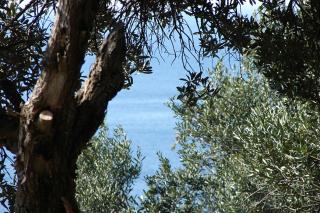 Luxury BonBon next to Banje beach and Old Town, great location - Dubrovnik - 6