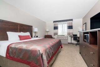 Ramada by Wyndham Minneapolis Golden Valley - Minneapolis - 8