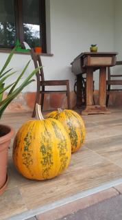 Bajusz Vendégház - 7