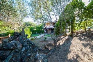 villa lilly - Olbia - 6