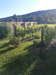 ATELIER NATUR'L Les Ronzières - Saint-Paul-dʼUzore - 2