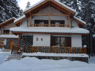 Saint George Holiday Village - Borovets - 8