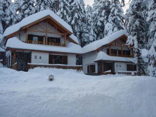 Saint George Holiday Village - Borovets - 9
