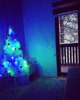 Apartmani Lotos - Kaludjerske Bare - 7