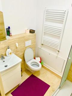 Big & Cosy Apartment with 3 double beds & 2 bathrooms - Iaşi - 3