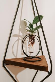 Garden Hideout - Central Apartment - 1