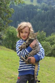 Stroneggerhof - Rieding - 1