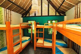 Fox & The Firefly Cottages - Loboc - 9