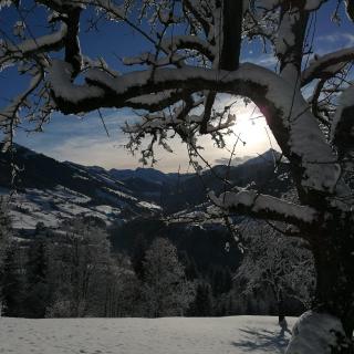 Wörglerhof's Hüttenapartments mit Kachelofen - Alpbach - 4