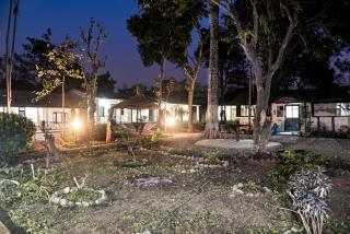 Chitwan Safari Resort - Sauraha - 8