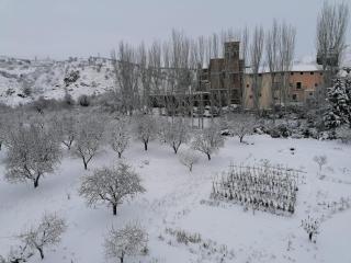 Apartamentos Rurales Camino del Cid - Castejón de las Armas - 8