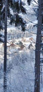 Hotel Timberlodge - 8
