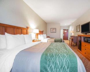 Comfort Inn & Suites Las Vegas - Nellis - Las Vegas - 2