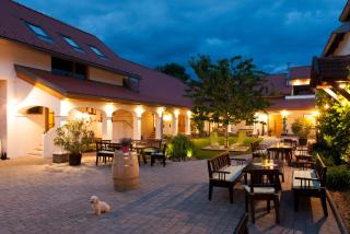 Winzerhof Kiss - Jois - 6